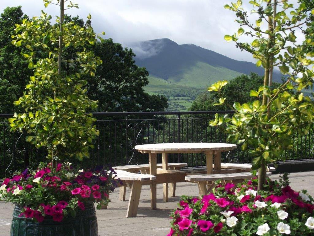 Aherlow House Hotel & Lodges Exteriér fotografie
