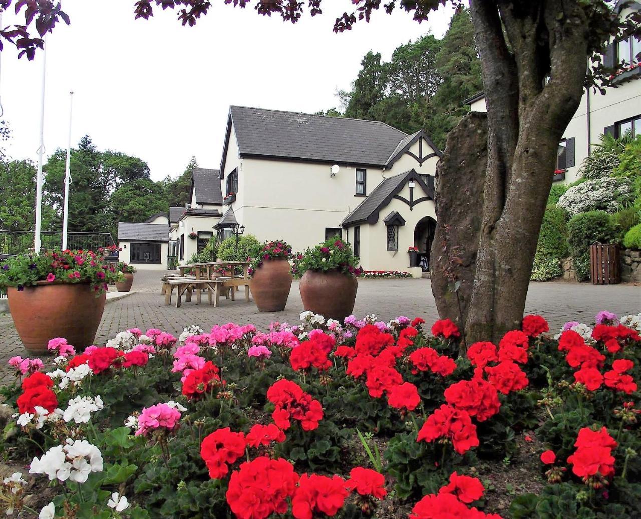 Aherlow House Hotel & Lodges Exteriér fotografie